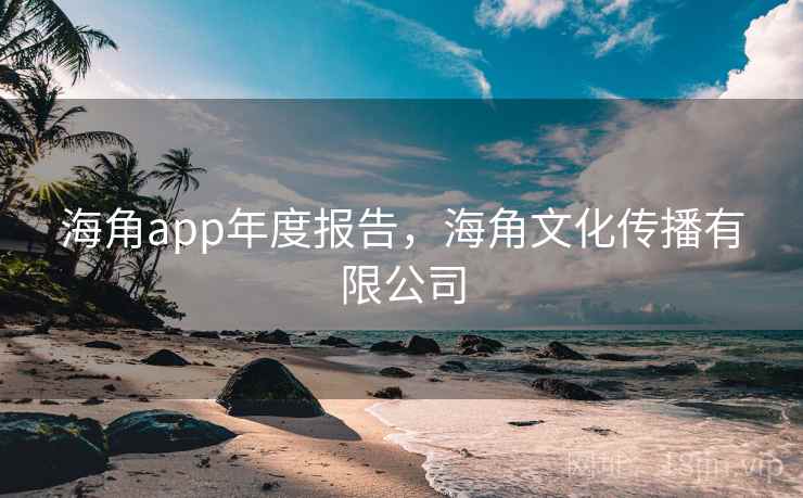 海角app年度报告,海角文化传播有限公司 海角app年度报告,海角文化传播有限公司