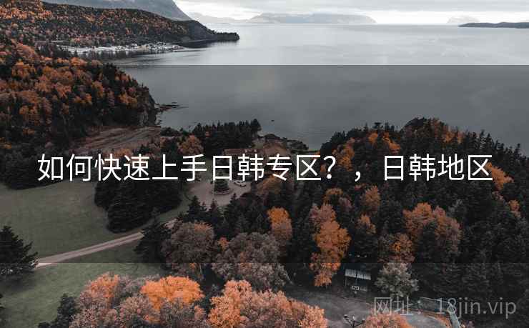如何快速上手日韩专区?,日韩地区 如何快速上手日韩专区?,日韩地区
