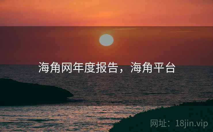 海角网年度报告，海角平台
