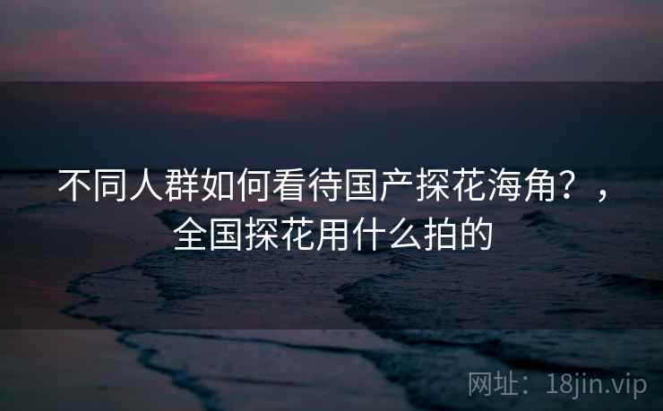 不同人群如何看待国产探花海角？，全国探花用什么拍的