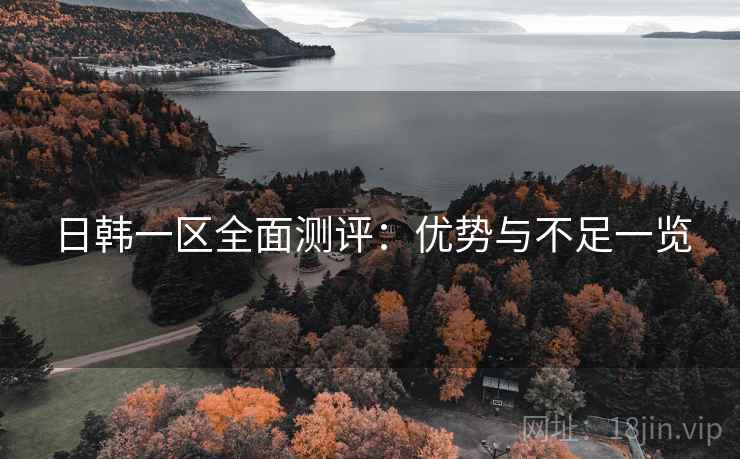 日韩一区全面测评：优势与不足一览