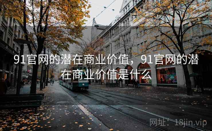 91官网的潜在商业价值,91官网的潜在商业价值是什么